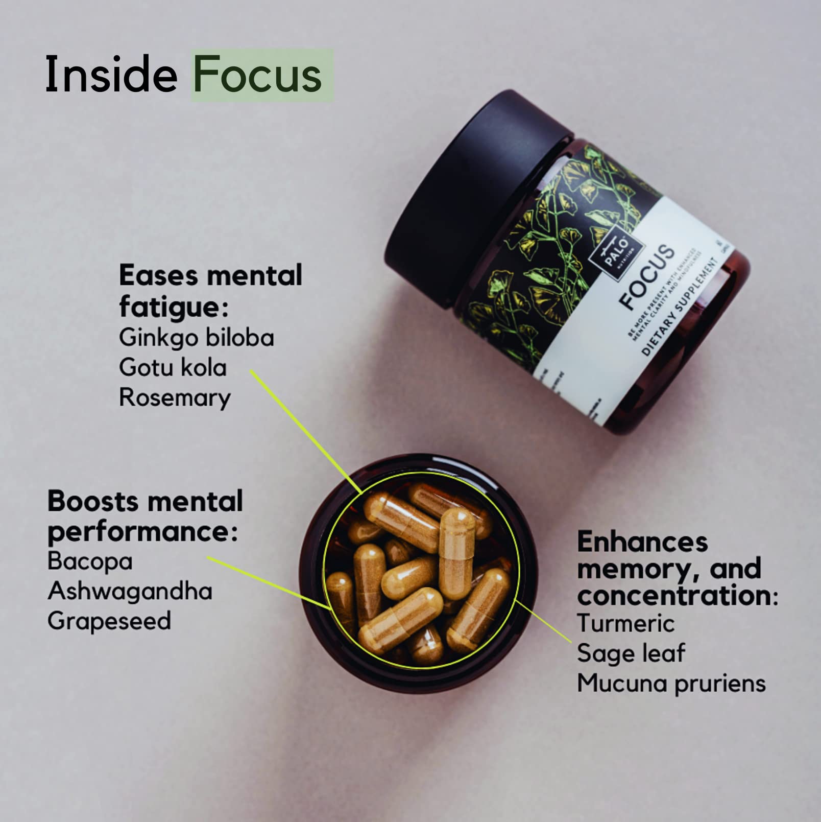 PALO Focus Brain Booster Natural Supplement Nootropic for Memory, Focus, Learning, Reall, Attention and Cognition - Ginkgo Biloba, Bacopa, Gotu Kola, Ashwagandha, Mucuna 60 Capsules PALOAu supplements