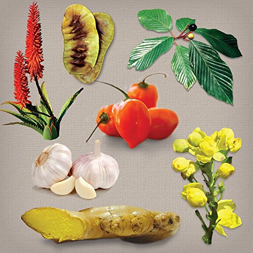 Dr. Schulze's Intestinal Formula #1 Colon Bowel Cleanse, 90 caps, 2 Count Dr. Schulze'sUS supplements