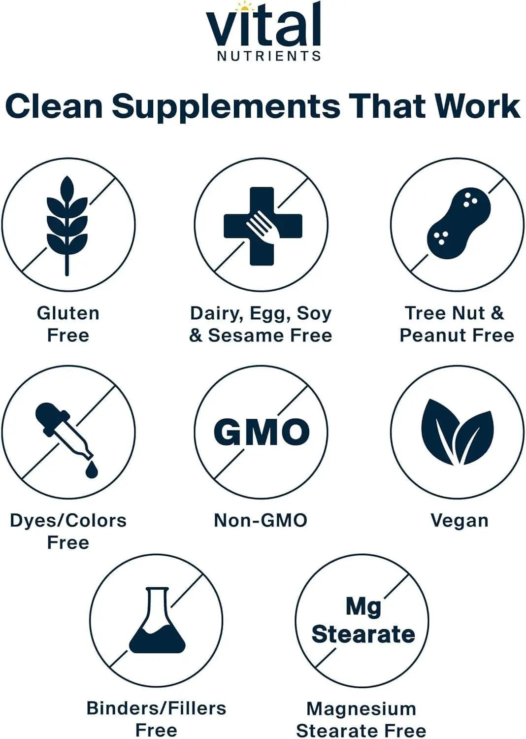 Vital Nutrients Once Daily Multivitamin | Vegan Multi for Women & Men | Allergen-Free | 19 Essential Vitamins + Antioxidants for Eye and Heart Health | Vital NutrientsAu supplements