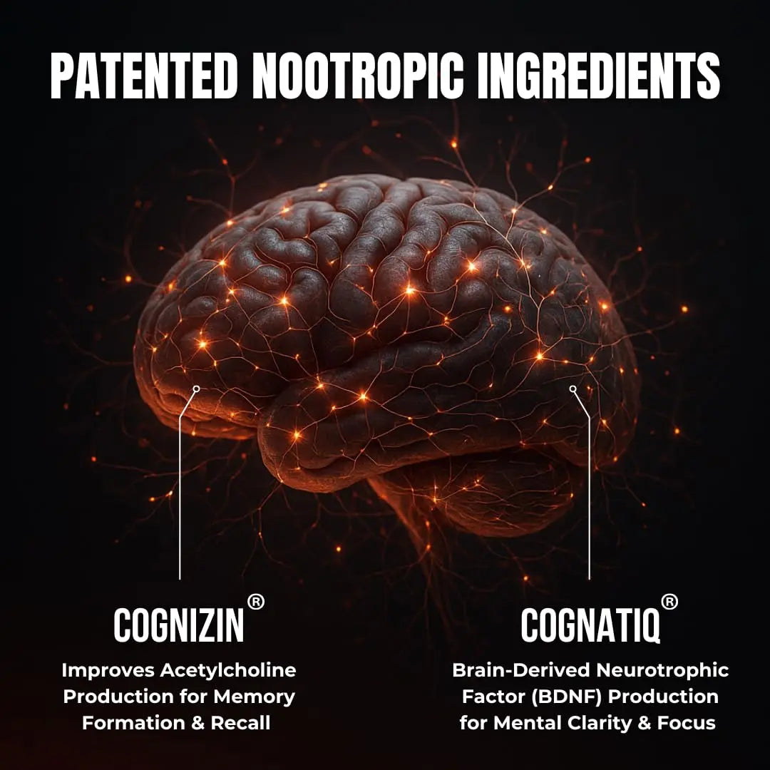 FOCUS + THINK Nootropic Brain Supplement Bundle - Energy, Memory & Focus Support - Caffeine + Caffeine-Free Cognitive Stack with Lion's Mane, Bacopa, Citicoline & L-Theanine - 2 Bottles (90 + 90 Capsu HUMBLEROOTS PERFORMANCEnz supplements