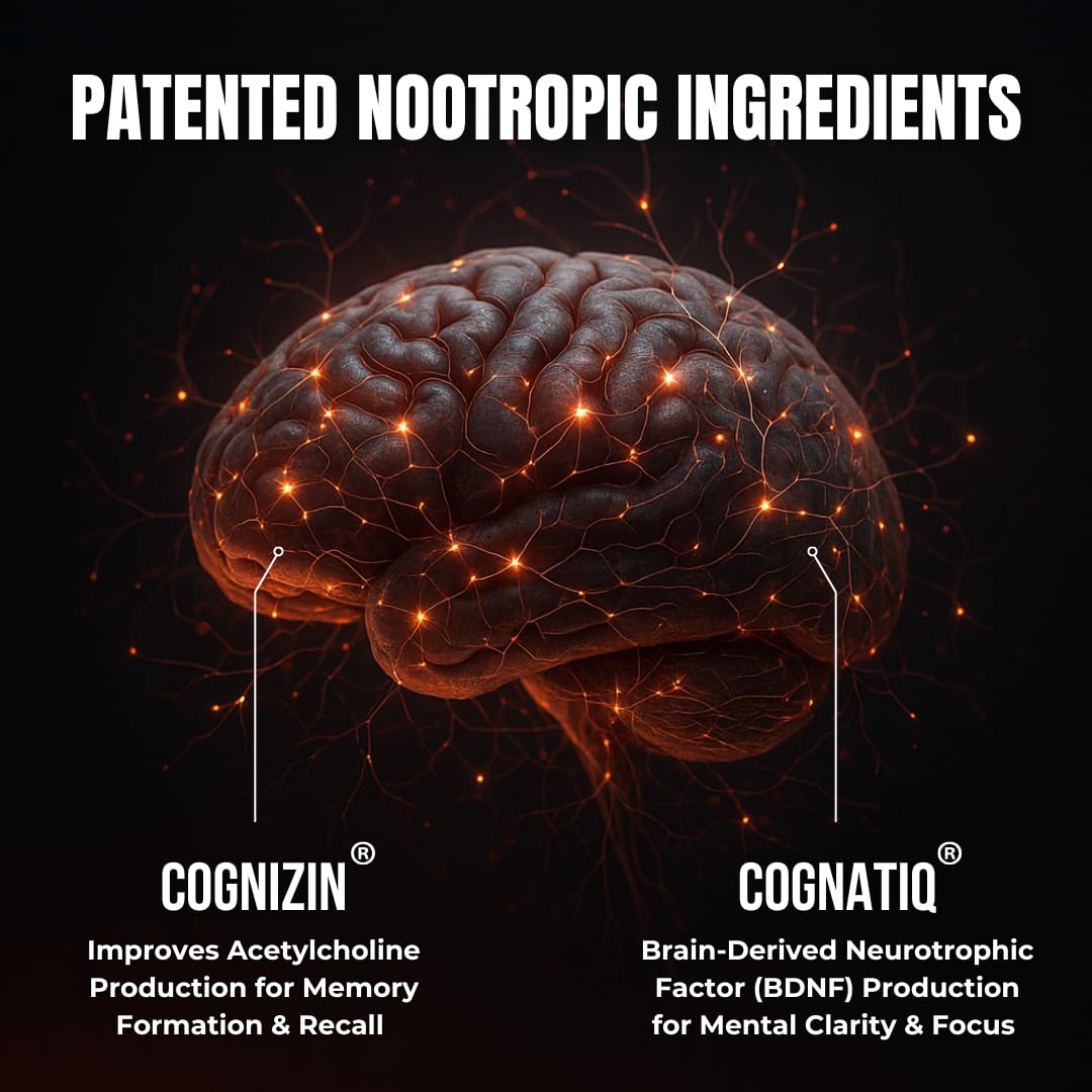 Advanced Nootropic Brain Supplement for Energy, Memory, & Focus | Lion's Mane, Caffeine, L-Theanine, and 5 Additional All-Natural Ingredients to Improve Cognitive Health (90 Capsules) HUMBLEROOTS PERFORMANCEAu supplements