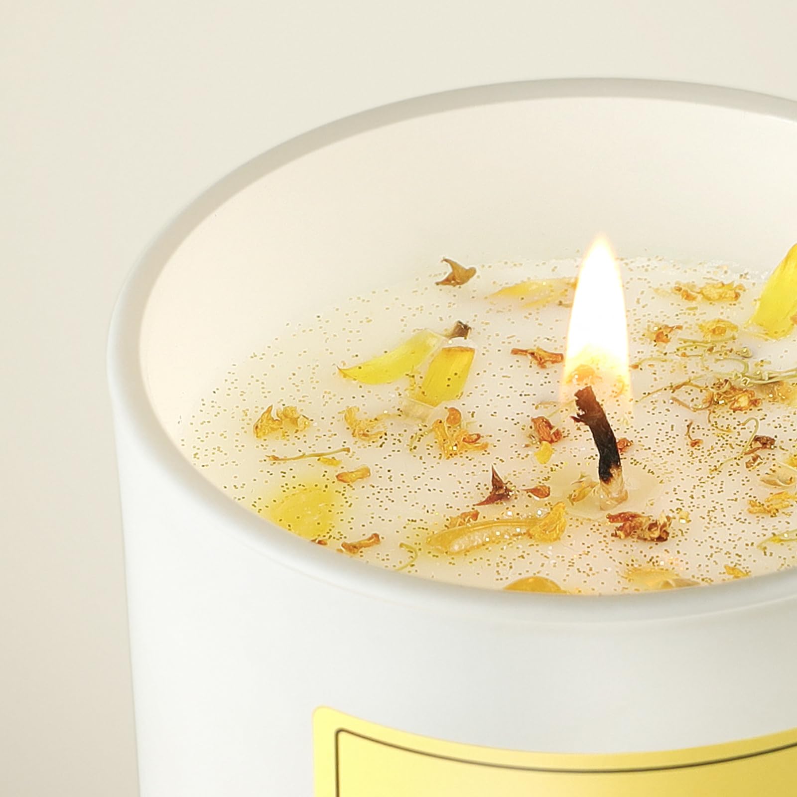 Vanilla Soy Candles Gift for Women - Aromatherapy Candle with Crystals Inside, 10oz Natural Soy Wax Candles AOOVOOAu supplements