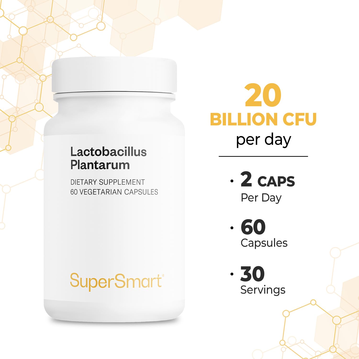 Supersmart - Lactobacillus Plantarum PostBiotic 20 Billion CFU per Day (Immuno-LP20) - Heat-Treated Probiotic Supplement | Non-GMO & Gluten Free - 60 Vegetarian Capsules SupersmartAu supplements