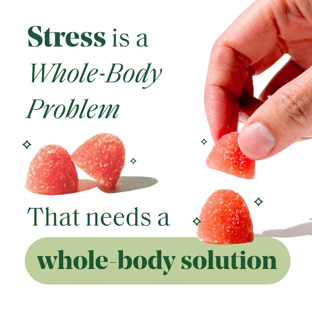 Semaine Stress Less Gummy with Cortisol Care™ 60 Count – Daily Support for Stress, Mood & Sleep SemaineAu supplements