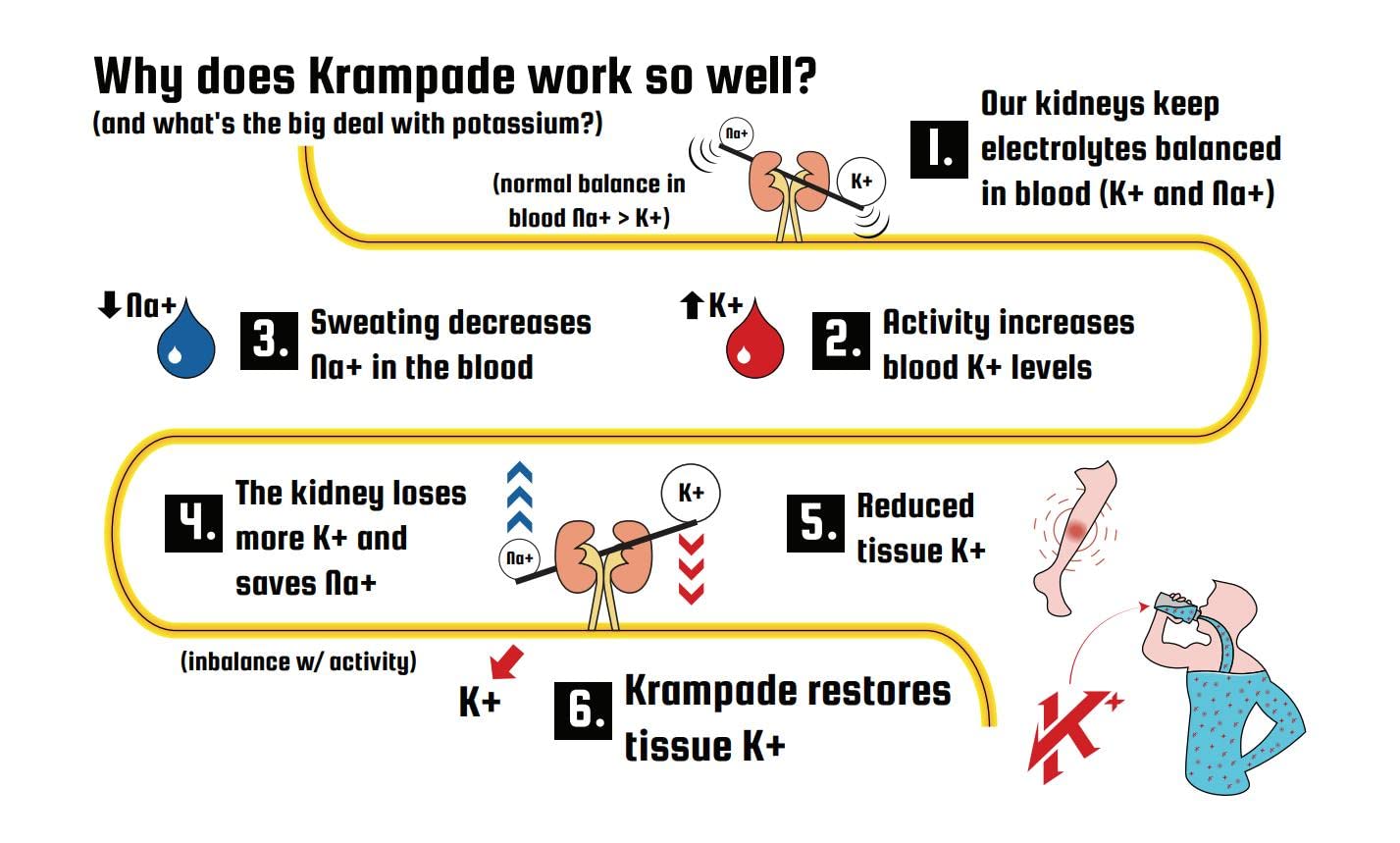 Krampade Original Lemon Lime 4K, 4000 mg Potassium Instant Cramp Relief Electrolyte Drink Powder | Designed for Athletes and Crampers | 19-Serving Resealable Pouch KrampadeAu supplements