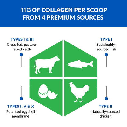 BioTrust Ageless Multi Collagen Peptides Powder - 5 Types (I, II, III, V, X) - Unflavored Collagen Powder for Women & Men - Hydrolyzed Protein BioTrustUS supplements