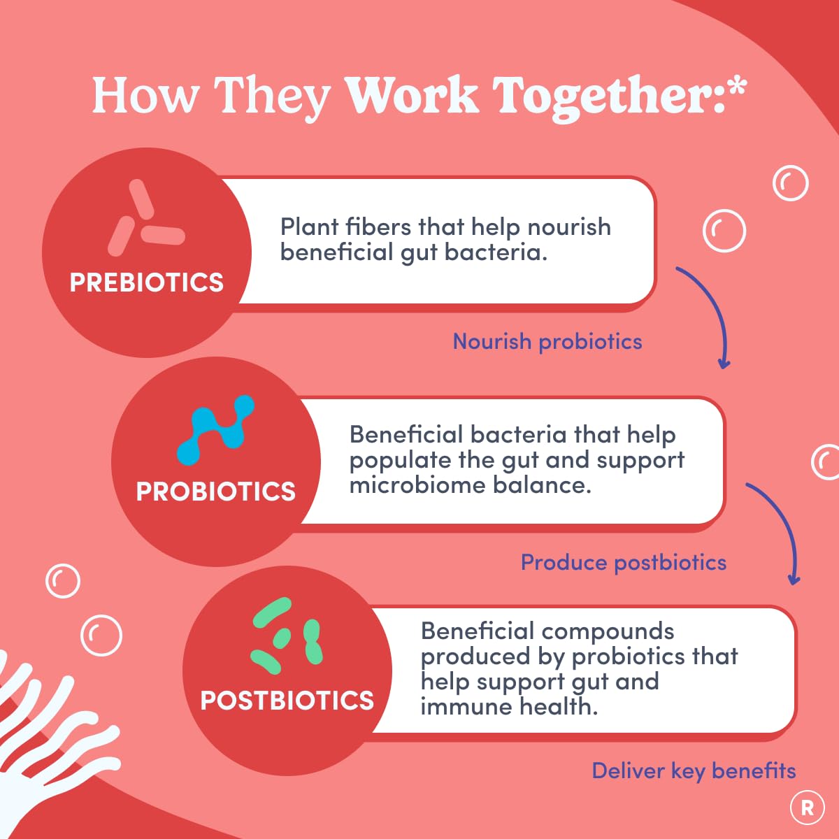 FIRST DAY Womens 3-in-1 Probiotic Gummies – Prebiotic + Probiotic + Postbiotic Supplement – Supports Digestive & Oral Health, Immune Function & Energy Levels – 30-Day Supply FIRST DAYAu supplements