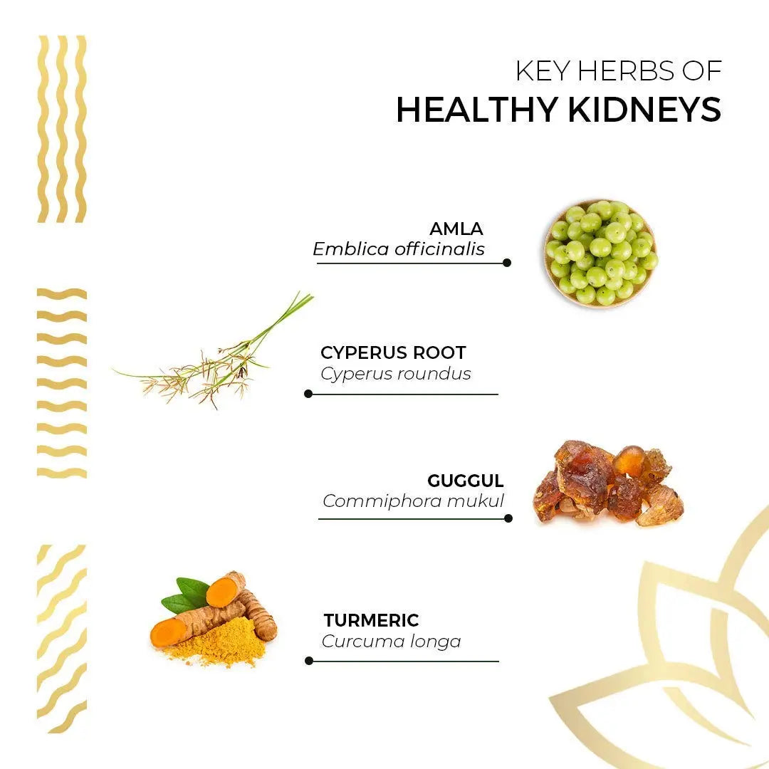 Kerala Ayurveda Healthy Kidney Herbal Tablets | Support Normal Kidney Function and Health | Kidney and Bladder Support | Urinary System Support - 90 Count Kerala AyurvedaAu supplements
