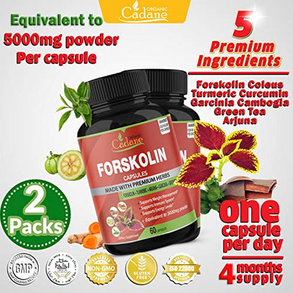 2 Packs Organic Forskolin Supplements Capsules 5000mg with Turmeric, Arjuna, Garcinia Cambogia Organic CadaneUS supplements