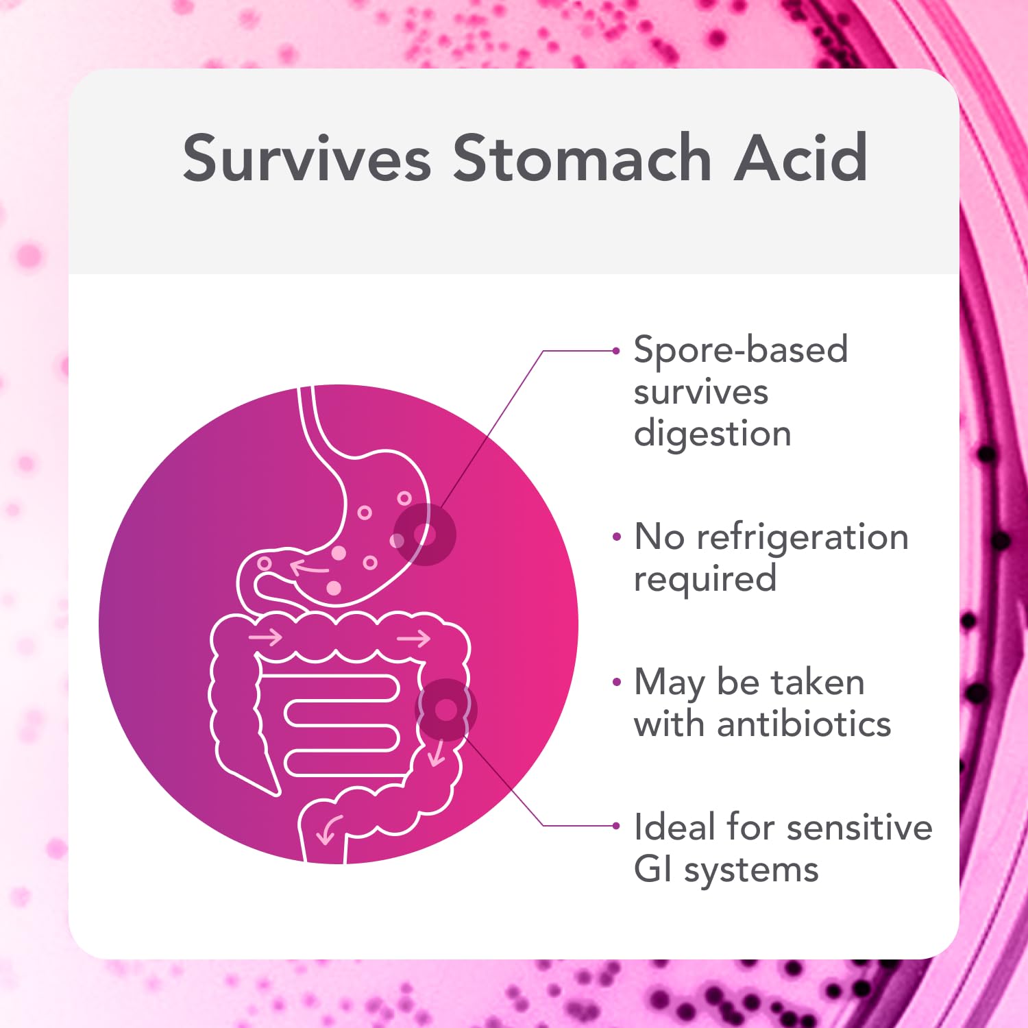 Biocidin Proflora 4R Spore Probiotic - Digestive Health Probiotics for Women & Men - Clinically Researched Bacillus Strains & Organic Aloe, Marshmallow Root for Gut Support (30 Vegan Capsules) Bio-Botanical ResearchUS supplements