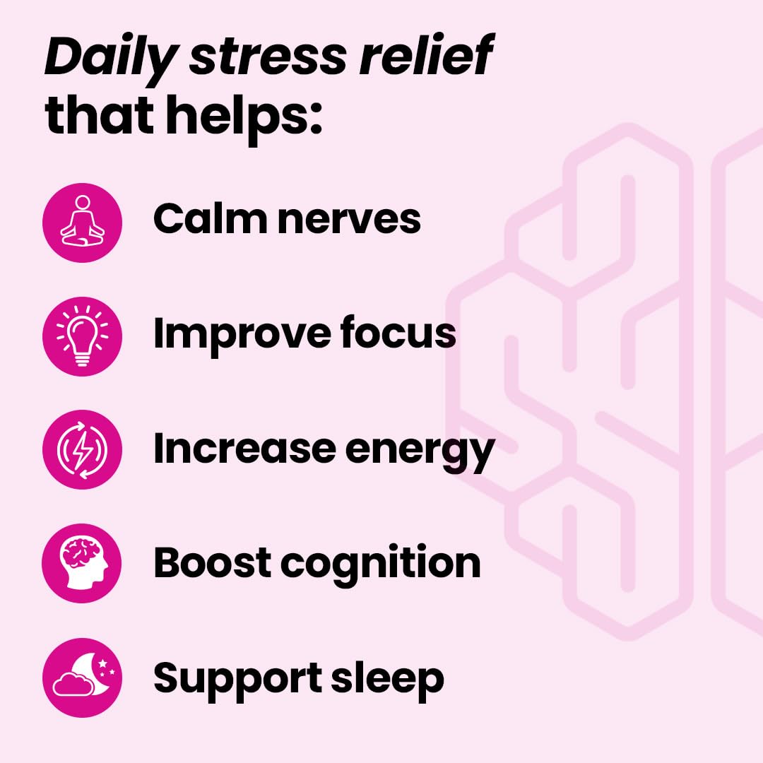 LifeSeasons NeuroQ Calm Focus Capsules - Stress Relief Supplement - Supports Mental Function & Relaxation - Sensoril Ashwagandha, Magnesium, GABA, L-Theanine, Andean Cocoa & Kava Kava - 60 Capsules LifeSeasonsAu supplements