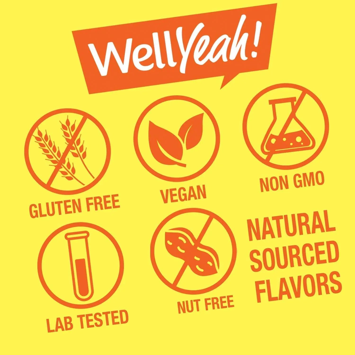 WellYeah Kids Multivitamin Gummies | Vitamin C, D3, E, A, B6, B12, Biotin, Zinc, Folic Acid, Iodine, and Niacin | Immune and Energy Support WellYeahAu supplements