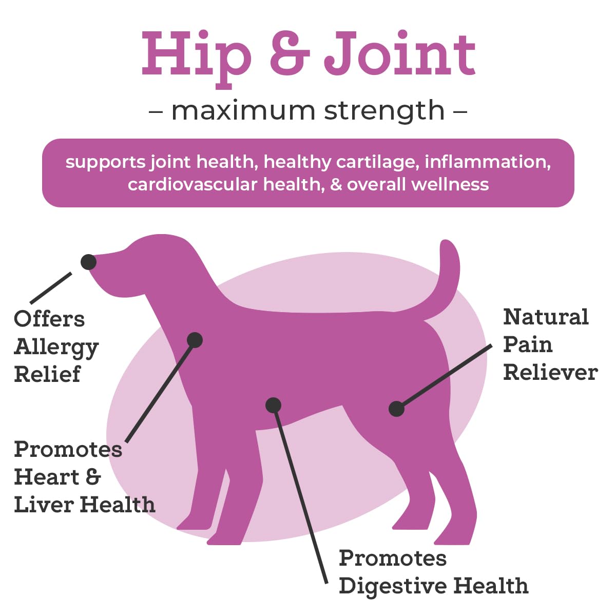 VetPro Dog Hip and Joint Supplement - Pain and Inflammation Relief Chews VetPro CompleteUS supplements
