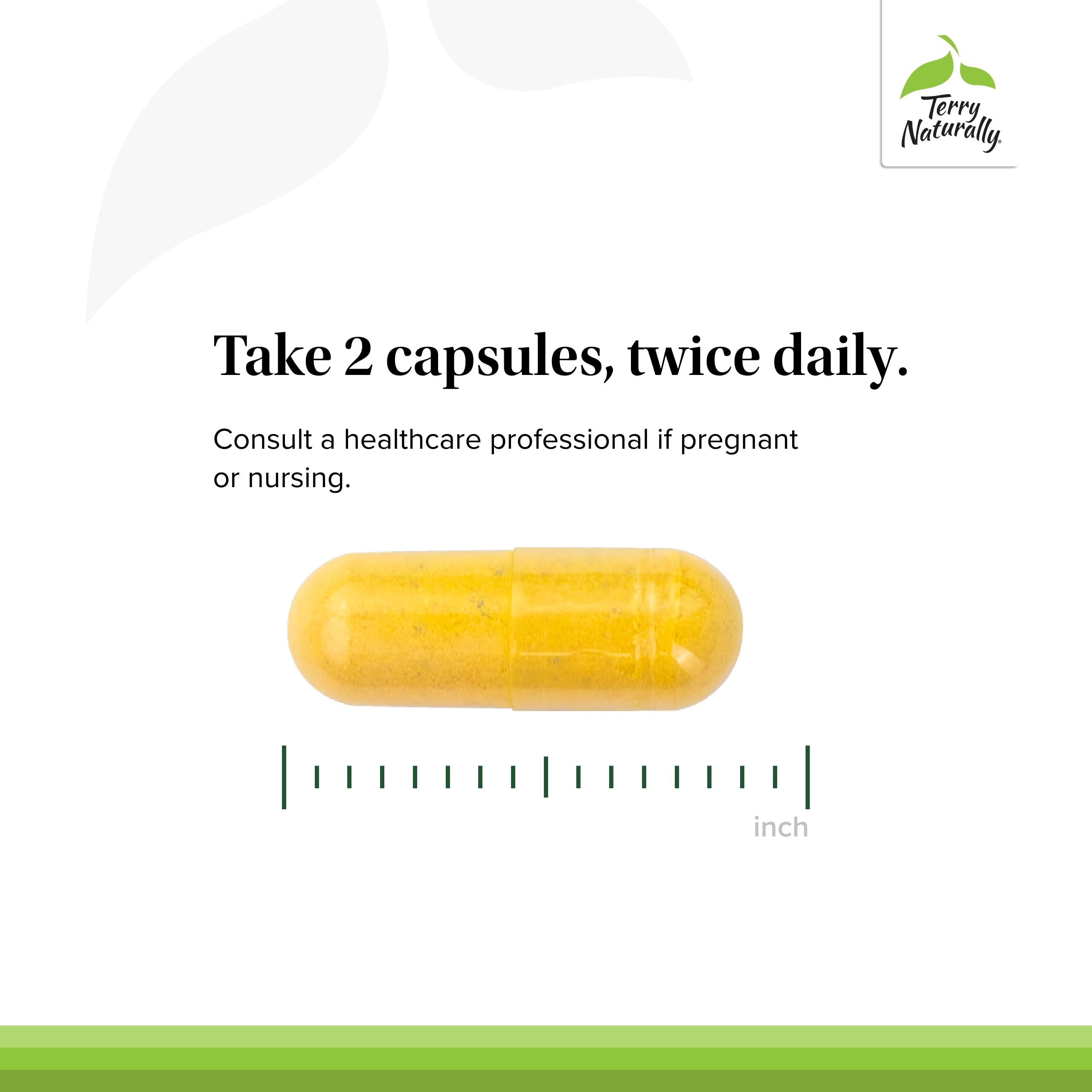 Terry Naturally Healthy Feet & Nerves - Herbal Supplement with Bioactive Vitamin B12 - Circulation & Nerve Health Support Supplement - Vegan Capsules with Boswellia Serrata - 60 Capsules Terry NaturallyAu supplements