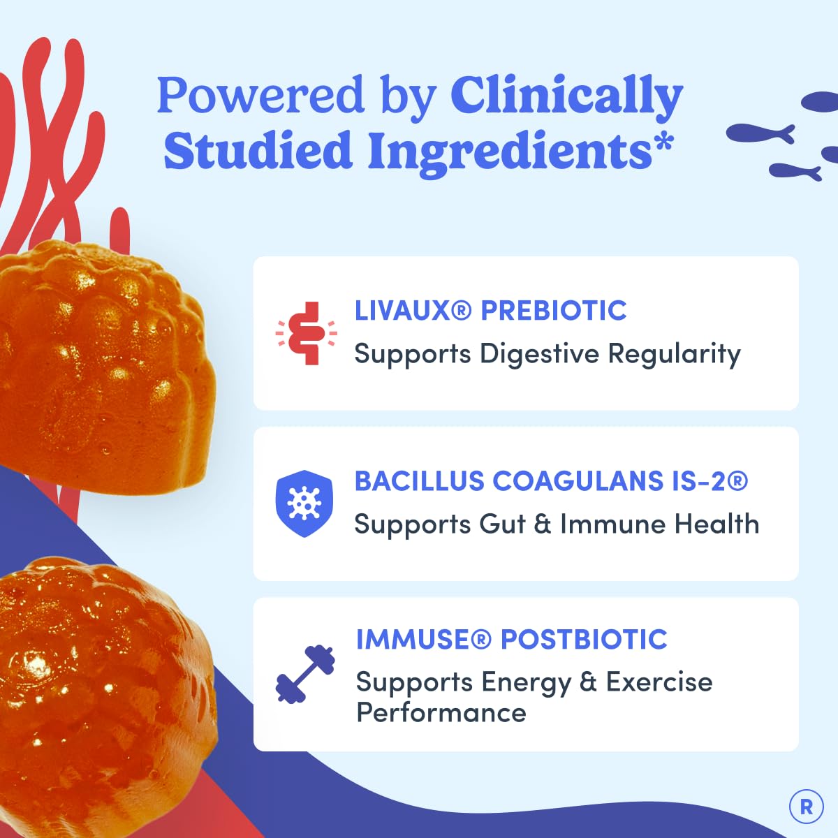 FIRST DAY 3 in 1 Probiotics for Men - Prebiotic, Probiotic & Postbiotic Supplement – Mens Probiotic for Digestive Health, Oral Health, Immune Function, Energy, Gut Health for Men – 30-Day Supply FIRST DAYAu supplements