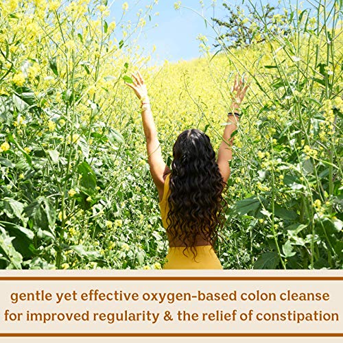 Solluna by Kimberly Snyder Feel Good Detoxy — Natural Colon Cleanse & Digestion SOLLUNA BY KIMBERLY SNYDERAu supplements