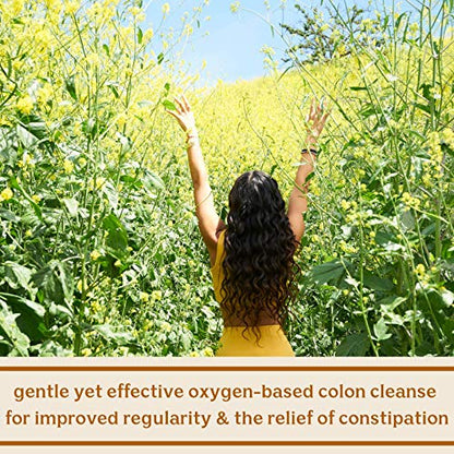 Solluna by Kimberly Snyder Feel Good Detoxy — Natural Colon Cleanse & Digestion SOLLUNA BY KIMBERLY SNYDERUS supplements