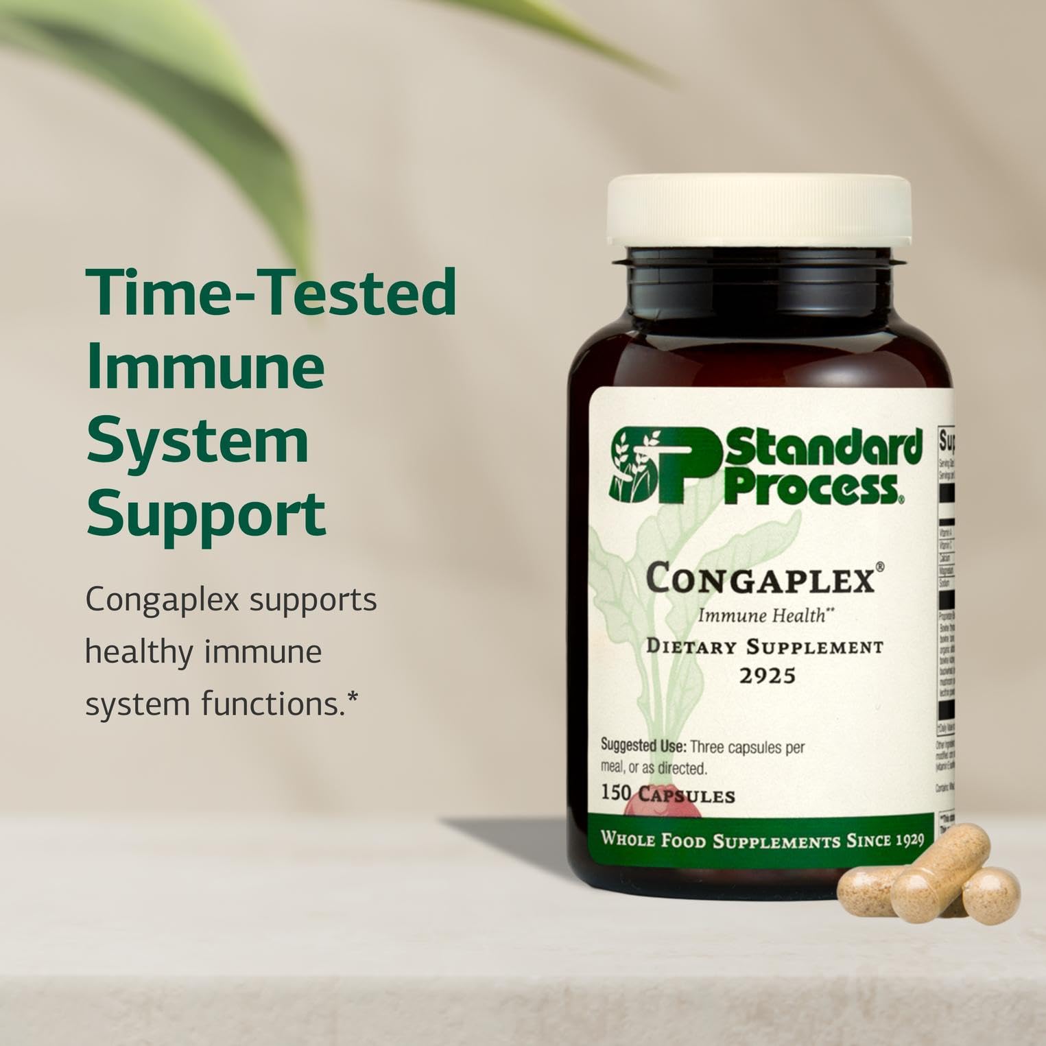 Standard Process Inc. Congaplex - Thymus Gland Support Supplement - Immune Health with Calcium Lactate, Magnesium, Vitamin C & Vitamin A - Immune System Aid with Mushroom Powder - 150 Capsules Standard Process Inc.Au supplements