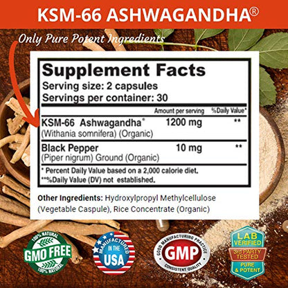 FRESH HEALTHCARE Ashwagandha Capsules KSM 66-1200mg Pure and Potent FRESH HEALTHCAREUS supplements