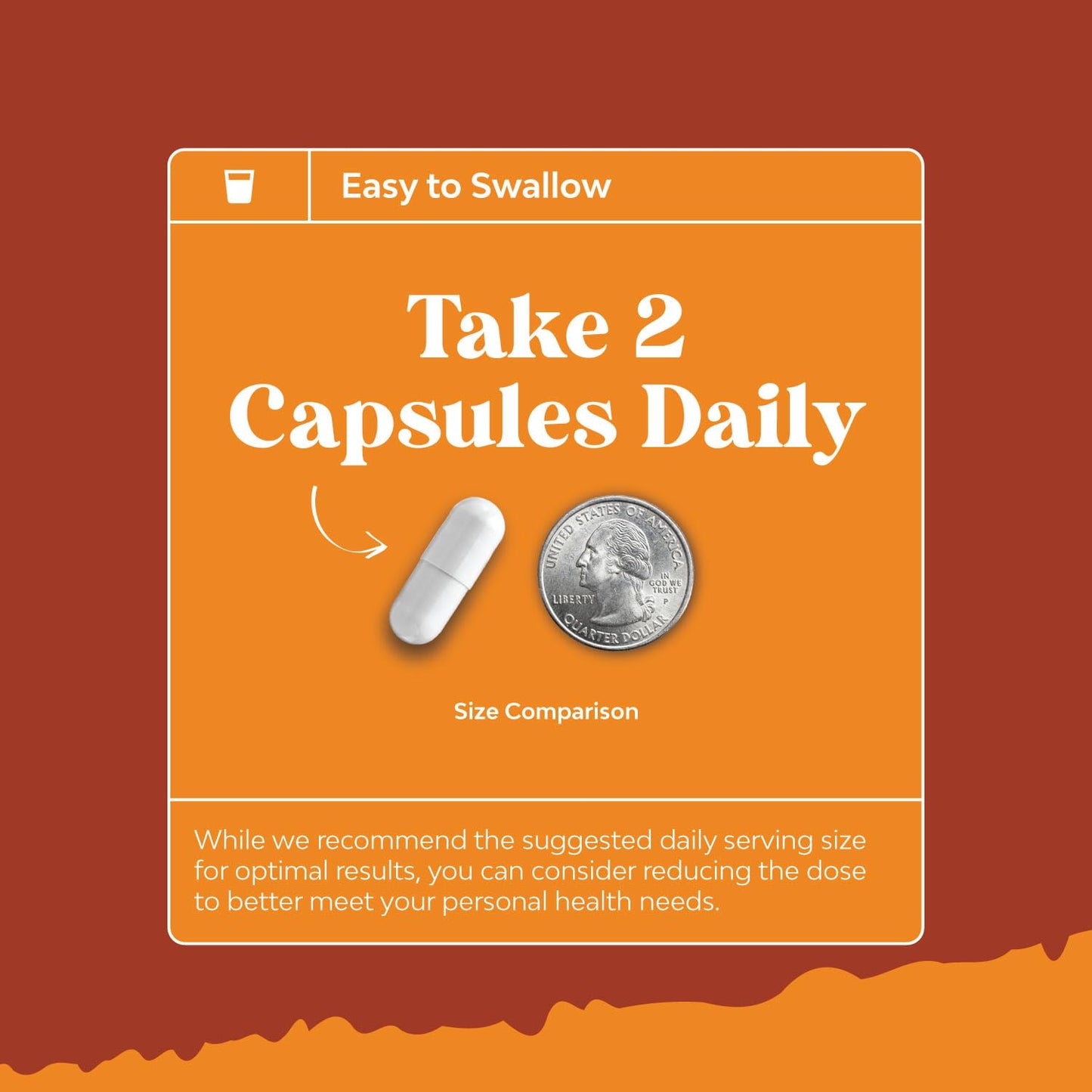 Natural White Kidney Bean Extract - White Kidney Bean Energy Booster AMPK Activator Natures CraftUS supplements