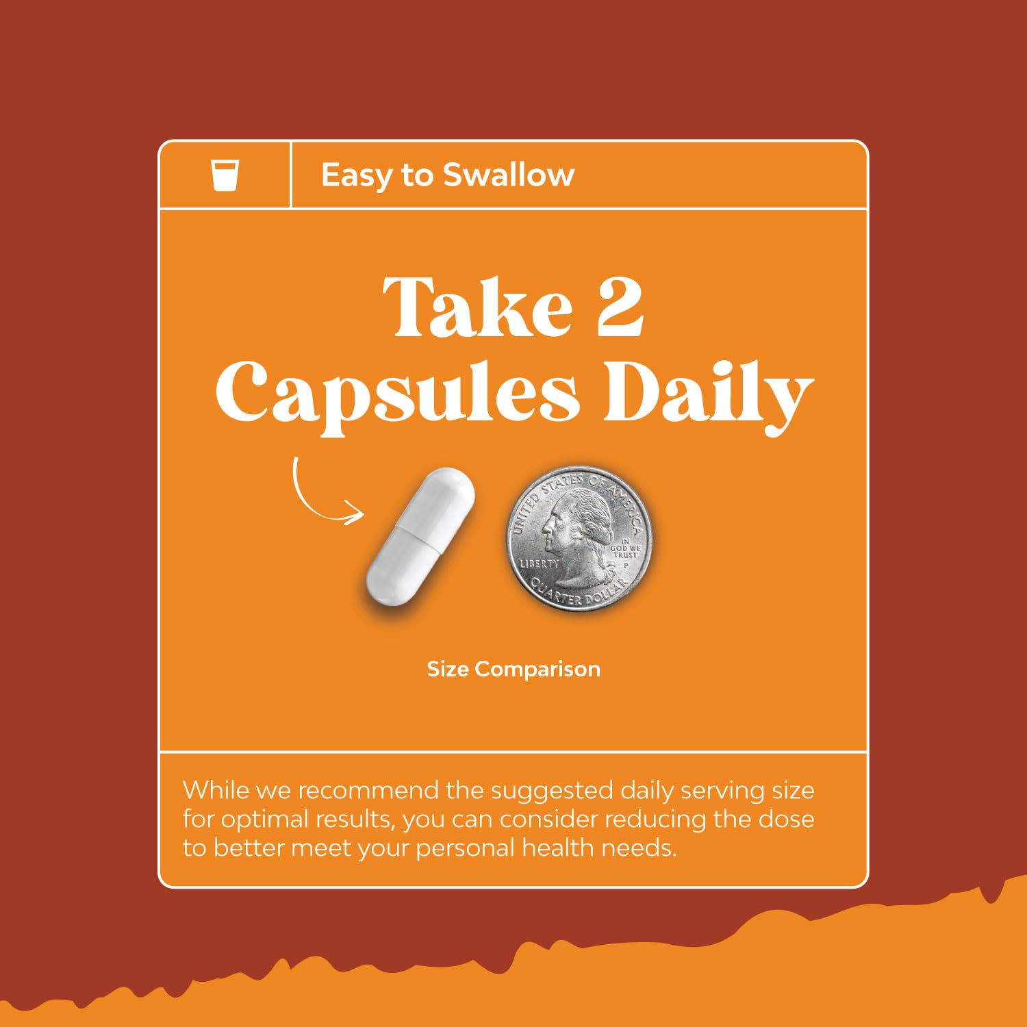 Natural White Kidney Bean Extract - White Kidney Bean Energy Booster AMPK Activator Natures CraftAu supplements
