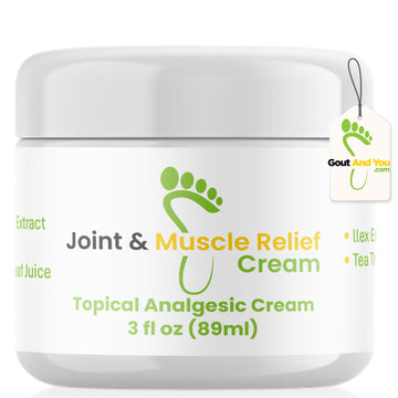 Gout and You Joint & Muscle Relief Cream - Fast Acting Joint Discomfort and Muscle Ache Relieving Rub with Arnica/Ilex Leaf Extract, Aloe Vera and Tea Tree Oil Gout and YouAu supplements