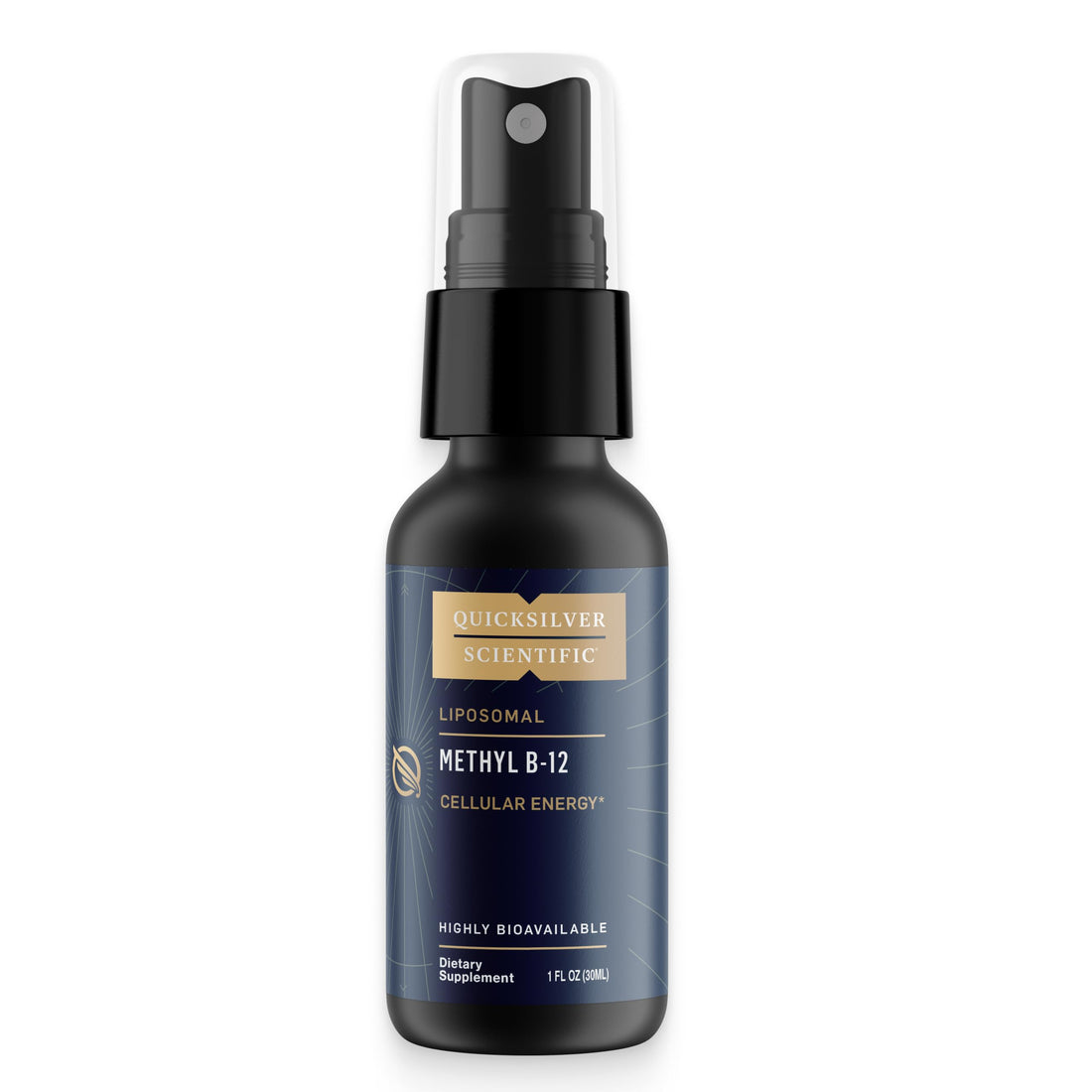 Quicksilver Scientific Methyl B12-1000mcg Vitamin B12 as Methylcobalamin - with Nano Technology for Superior Absorption - Supportive Energy Supplement (30ml / 90 Servings) Quicksilver ScientificUS supplements
