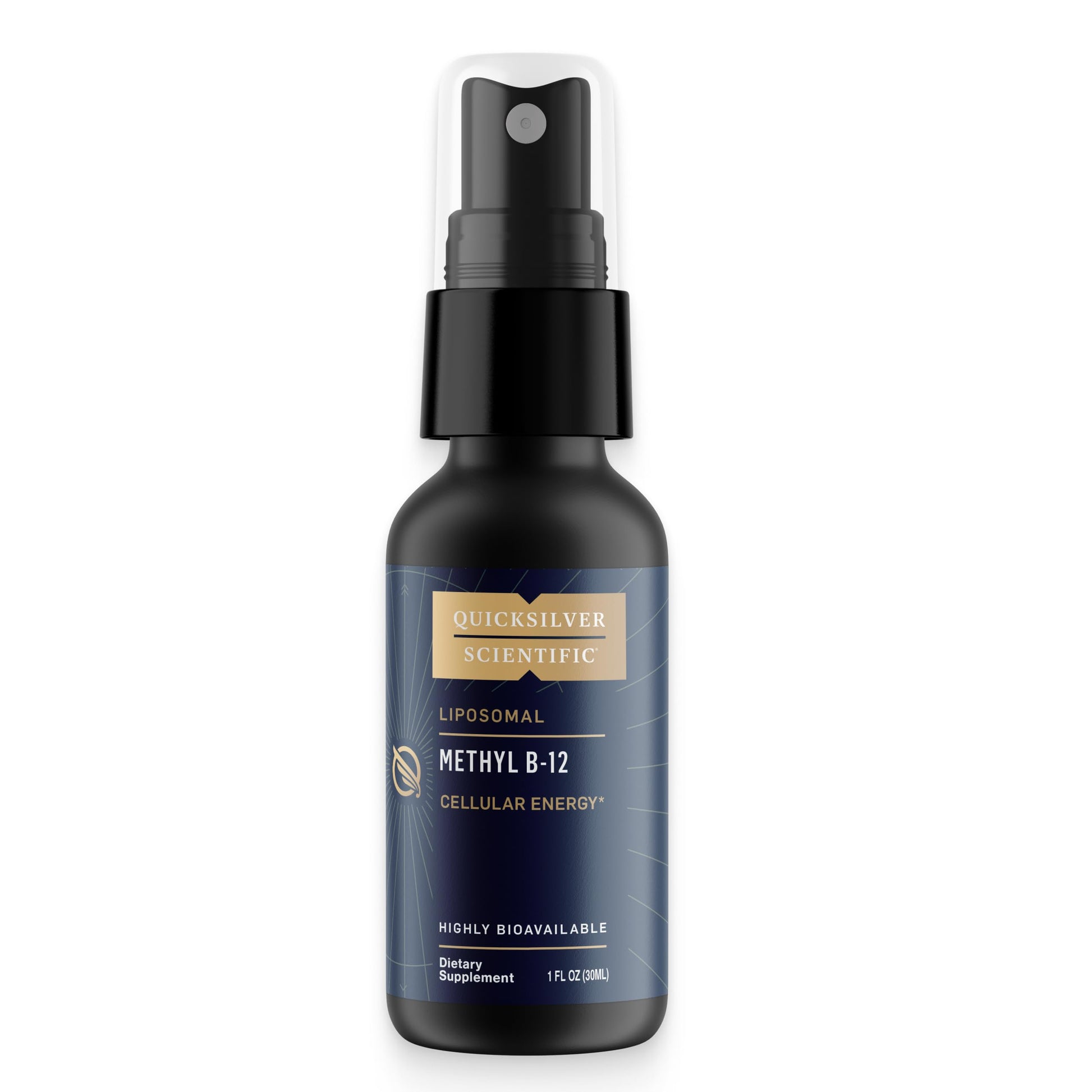 Quicksilver Scientific Methyl B12-1000mcg Vitamin B12 as Methylcobalamin - with Nano Technology for Superior Absorption - Supportive Energy Supplement (30ml / 90 Servings) Quicksilver ScientificUS supplements