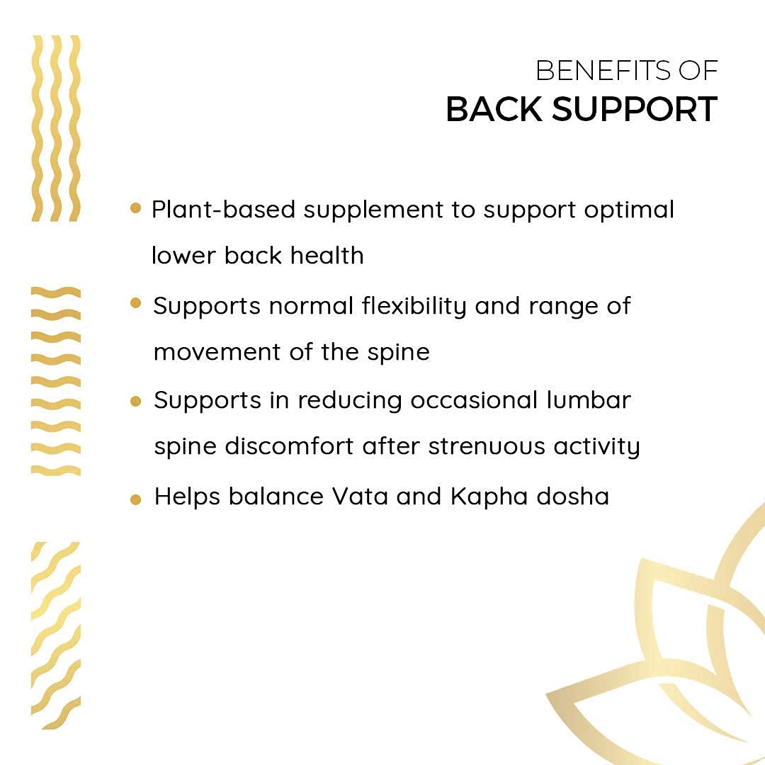 Kerala Ayurveda Back Support Herbal Capsules - Eases Occasional Discomfort of Lower Back & Supports Normal Movement of Spine, 90 Count Kerala AyurvedaAu supplements