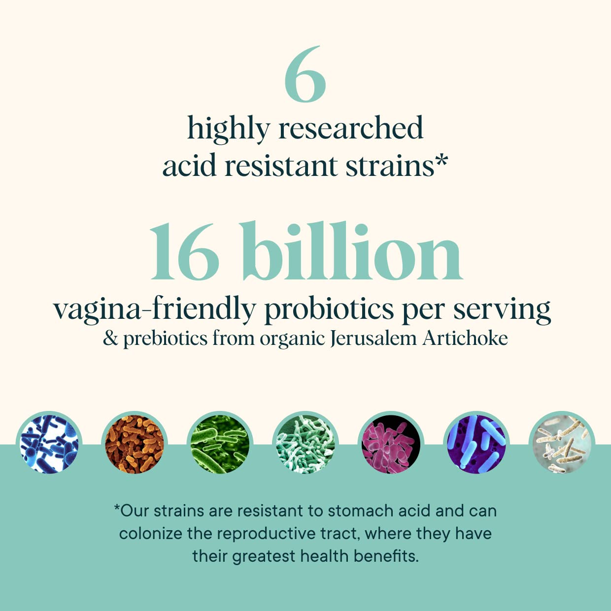 Ora Organic Prebiotics and Probiotics for Women - Lactobacillus for Vaginal and Urinary Tract Health, Contains 16 Billion CFU, 6 Strains - 1 Month Supply, 60 Vegan Probiotic Capsules Ora OrganicUS supplements