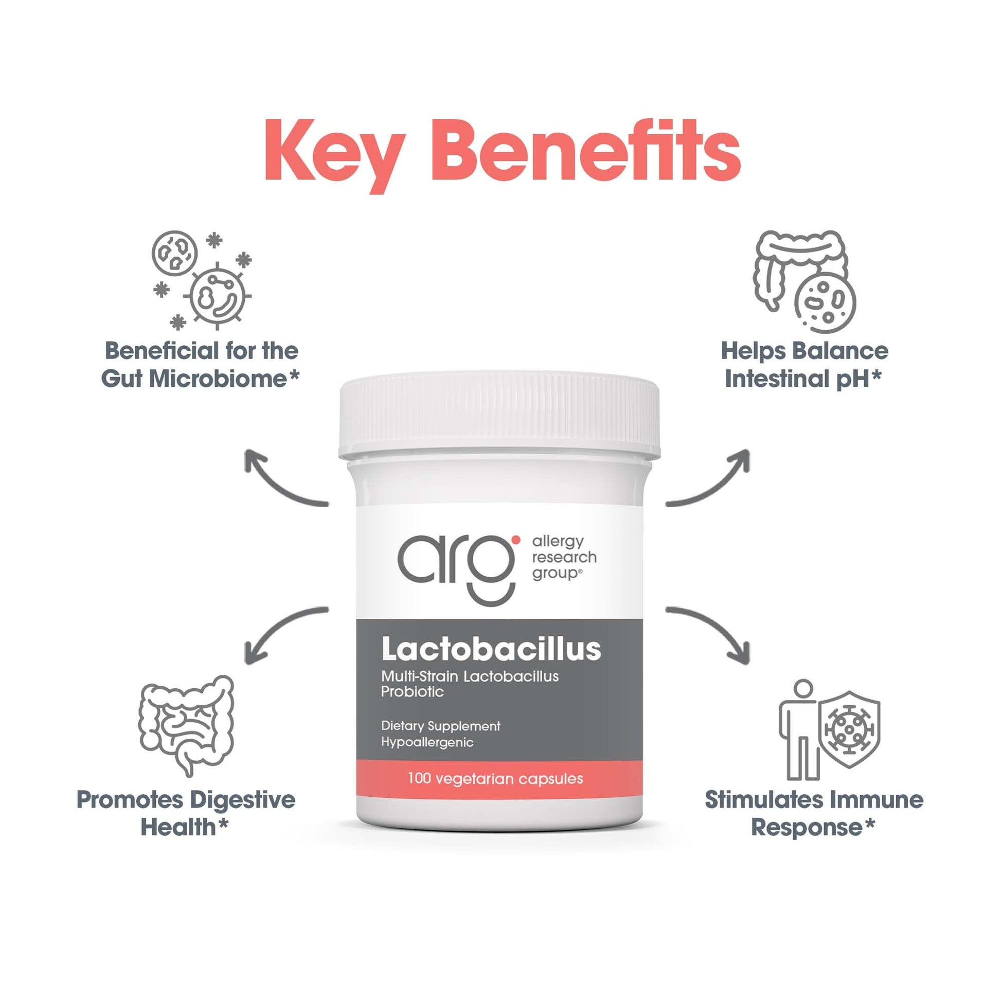 Allergy Research Group Lactobacillus Supplement - Probiotics for Men & Women, Digestive Health, Gut Health, Vegetarian Capsules - 100 Count Allergy Research GroupAu supplements