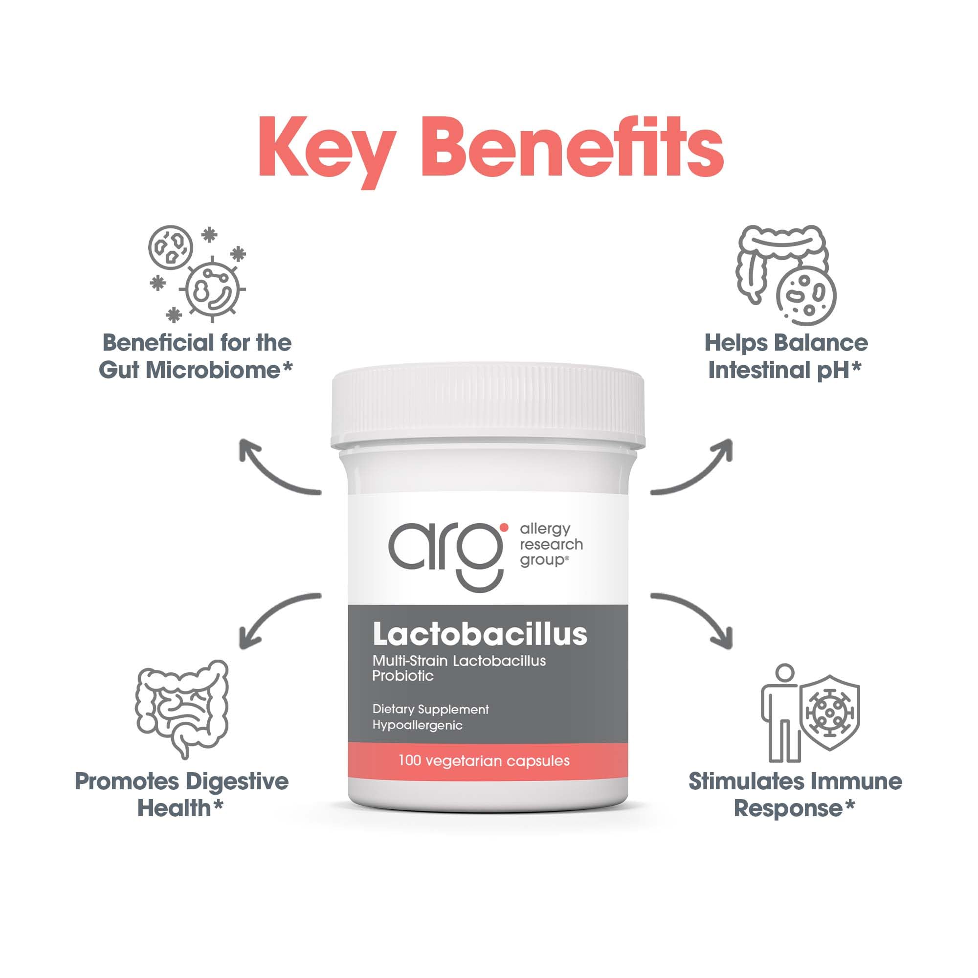 Allergy Research Group Lactobacillus Supplement - Probiotics for Men & Women, Digestive Health, Gut Health, Vegetarian Capsules - 100 Count Allergy Research GroupAu supplements