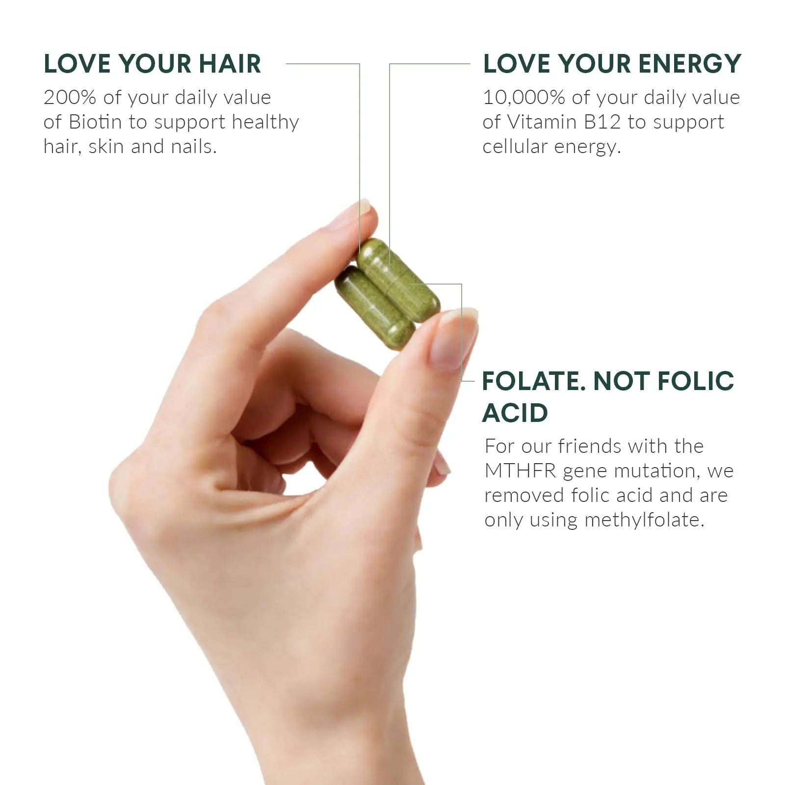 Nutritional Roots Multivitamin+, Award-Winning Plant-Based (Vegan) Multivitamin, Organic Vegetables & Herbs Nutritional RootsAu supplements