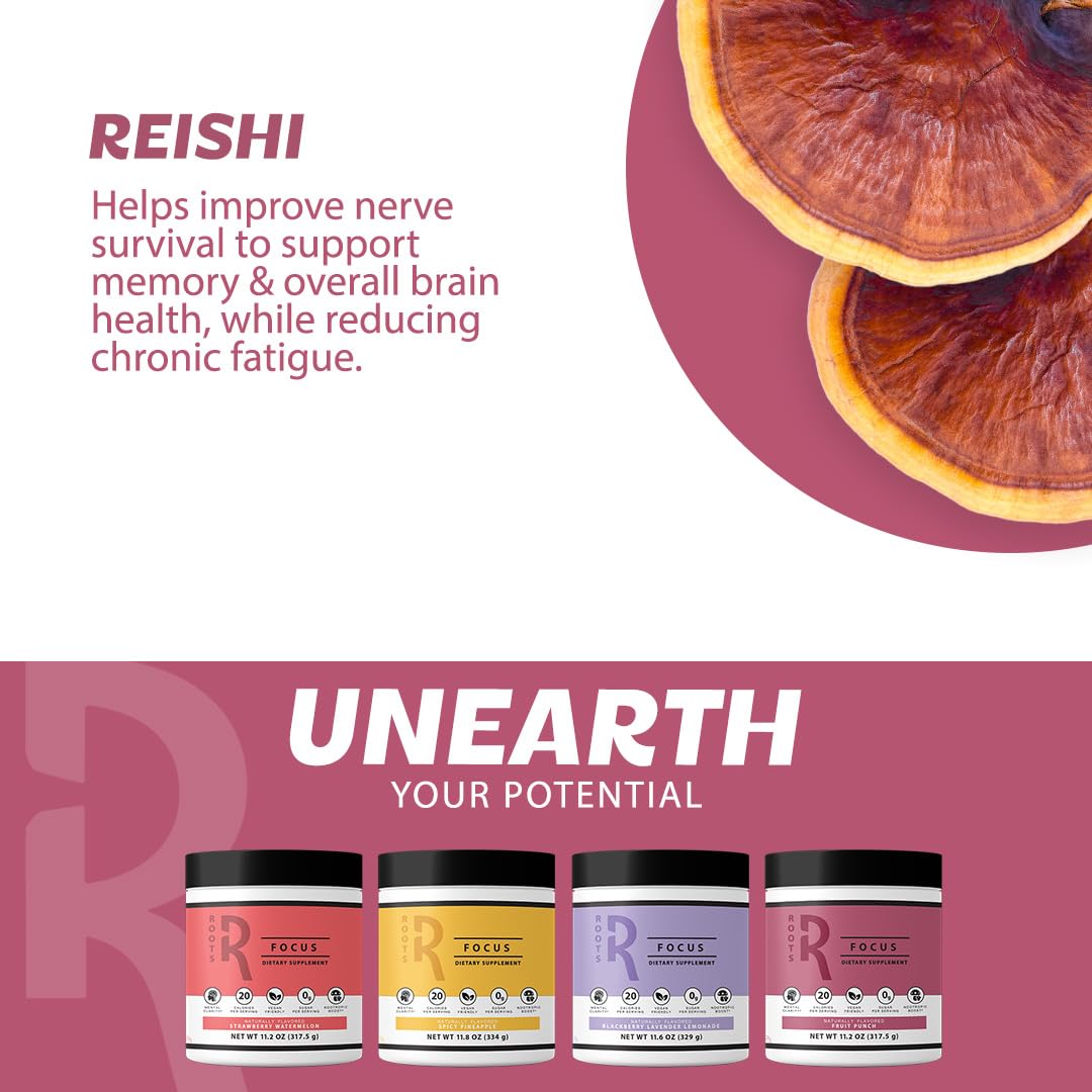 Roots Focus Brain Supplement - Nootropic Mushroom Supplement Powder for Memory, Focus, Energy - Lion's Mane, Cordyceps, and Reishi Mushrooms with Caffeine - Blackberry Lemonade, 15 On the Go Packets Silver Star NutritionAu supplements