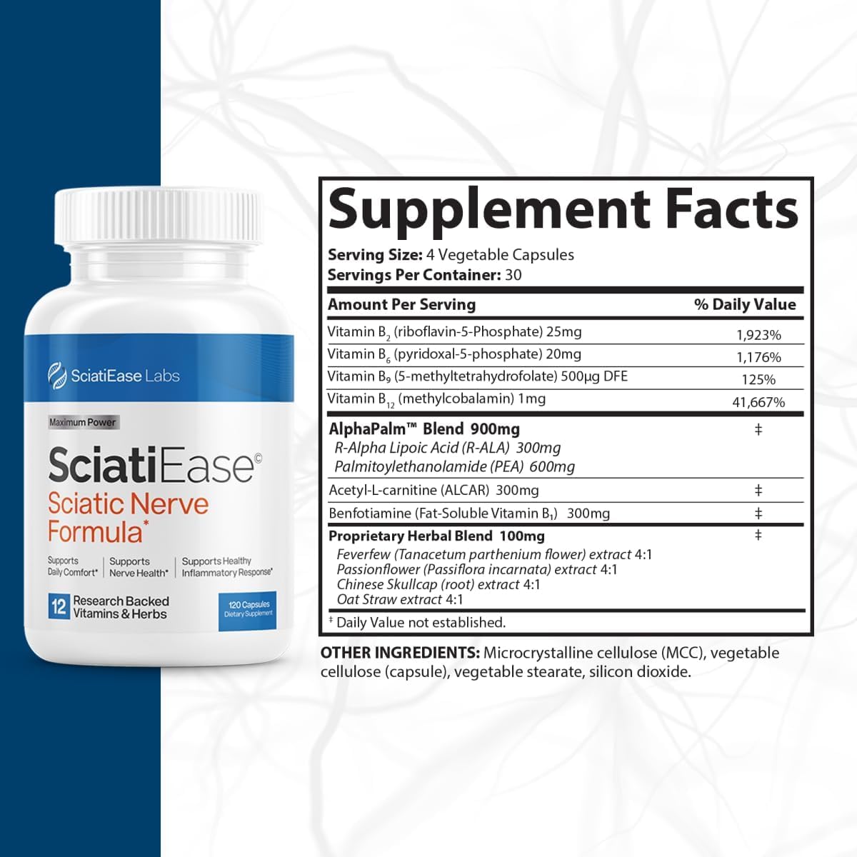 SciatiEase Sciatic Nerve Health Support Sciatic Nerve Supplement SciatiEaseUS supplements
