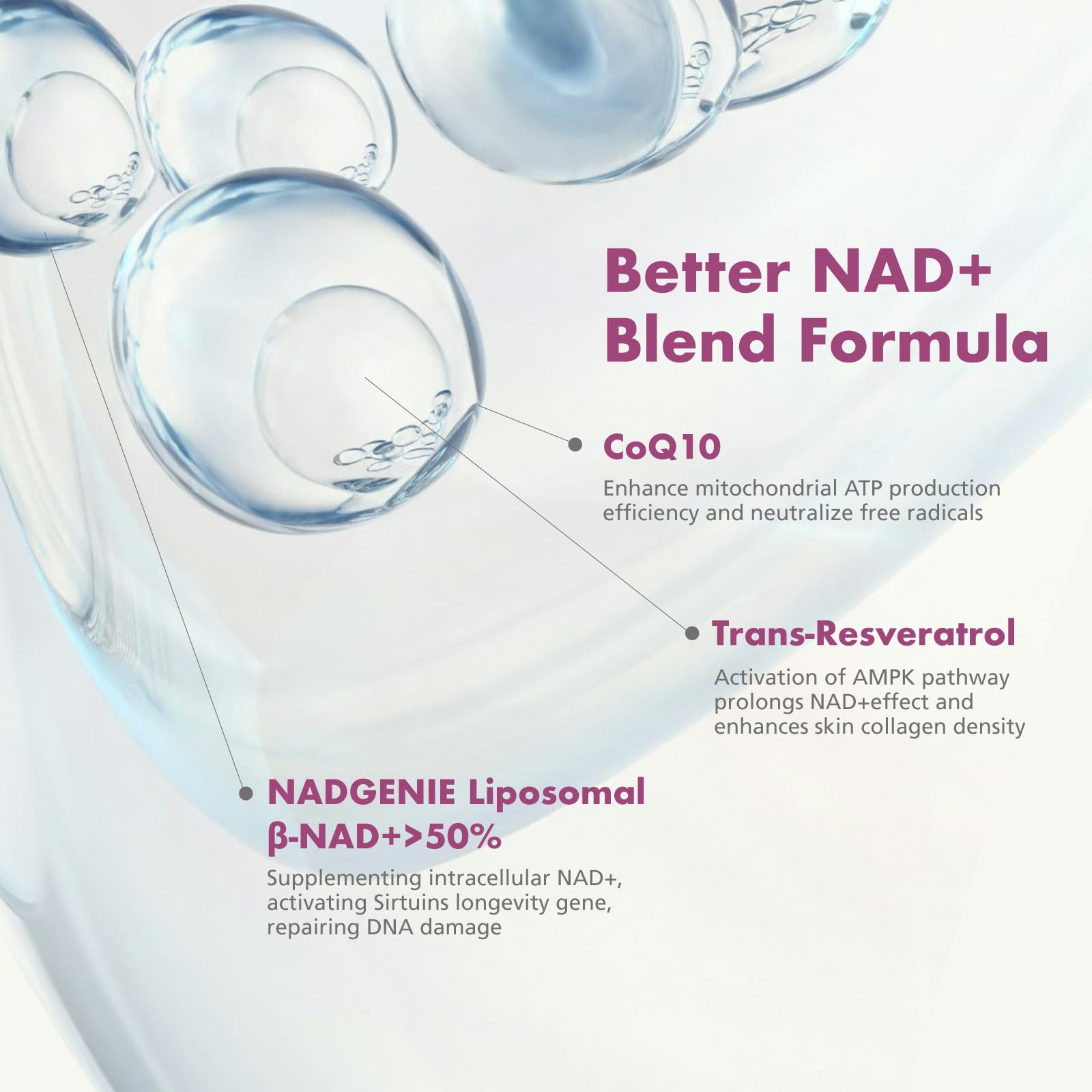 VHC NAD+ Supplement, NMN Alternative Liposomes with CoQ10, Trans-Resveratrol for Women & Men,Support Energy, Anti-Aging,Focus,90 Capsules VHCAu supplements