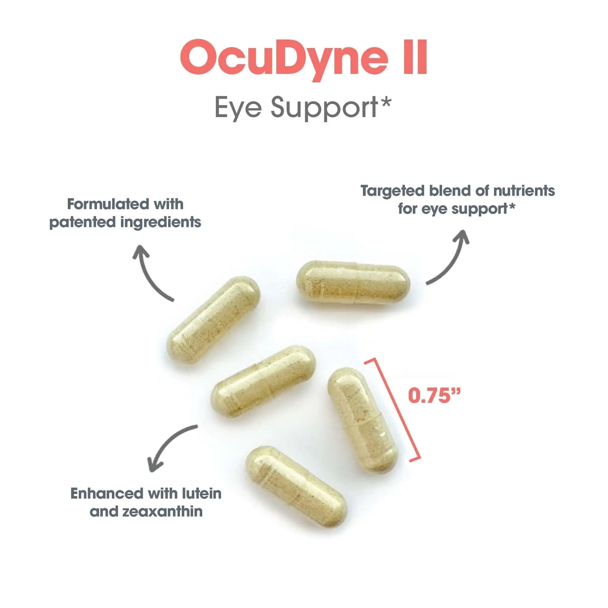 Allergy Research Group OcuDyne II Supplement - Eye Support Vitamins for Vision, Eye Health for Adults, Vision Support, Multivitamin Formula Allergy Research GroupAu supplements