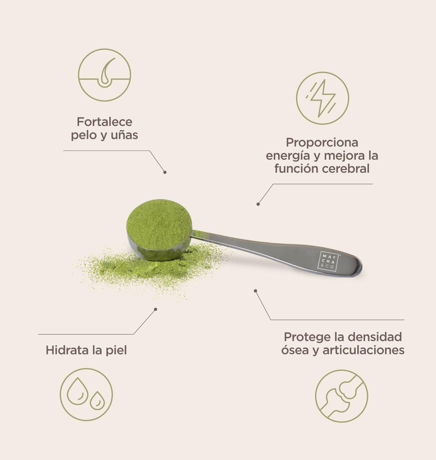 Collagen with Magnesium, Matcha Tea and Hyaluronic Acid. Joints, skin and nails Matcha & COUS supplements