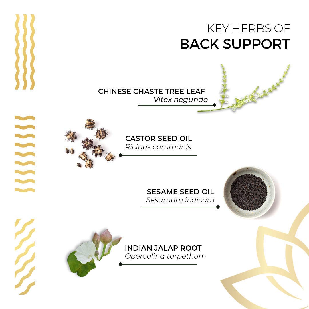 Kerala Ayurveda Back Support Herbal Capsules - Eases Occasional Discomfort of Lower Back & Supports Normal Movement of Spine, 90 Count Kerala AyurvedaAu supplements