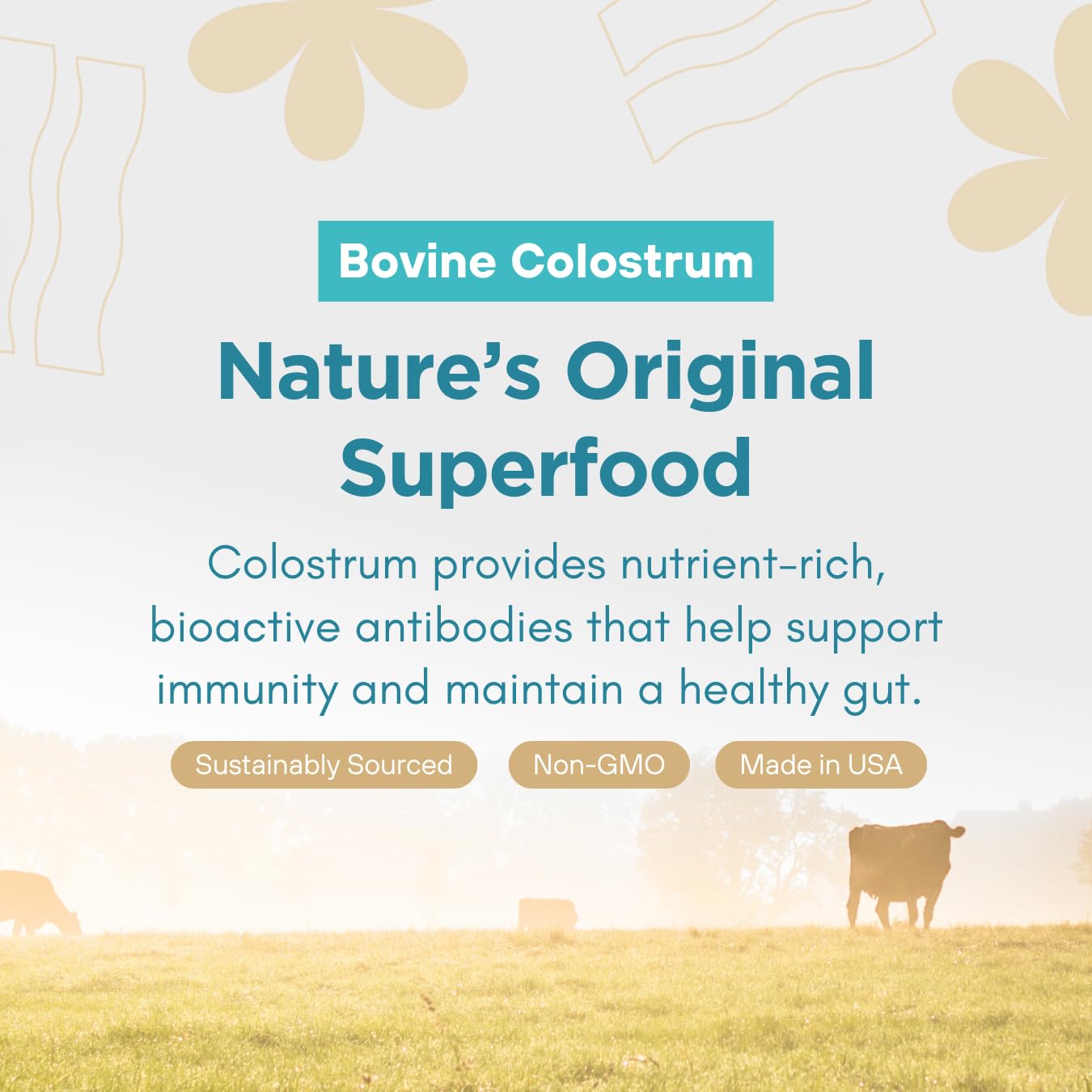 360 Nutrition Blends with Benefits Bovine Colostrum + Collagen Peptides Powder for Gut Health, Hair & Skin Beauty, Immune Support | Grass-Fed, No Added Sugar, Unflavored 6 oz 360 NutritionAu supplements