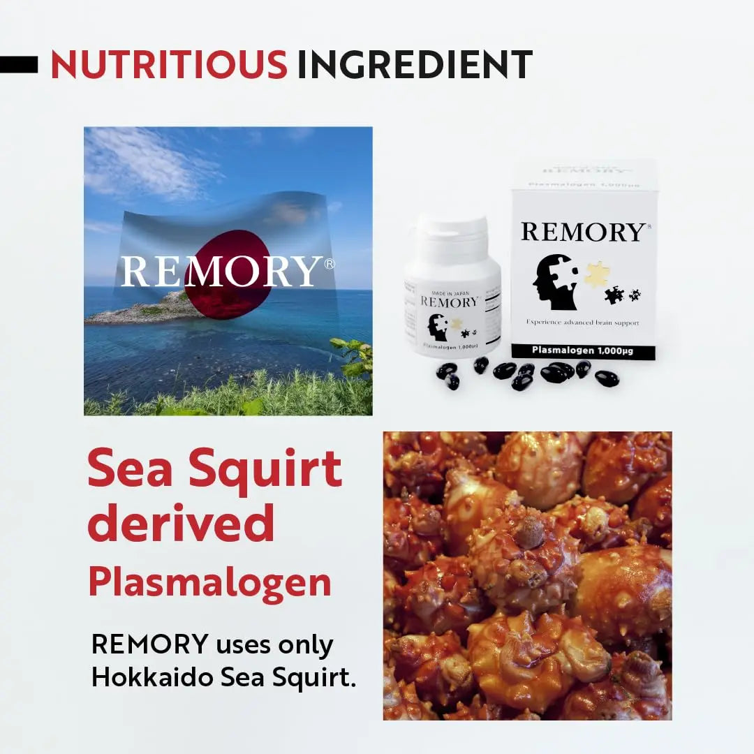 REMORY Plasmalogen Sea Squirt Supplement - Brain Health Supplement - 30 Days Supply REMORYnz supplements