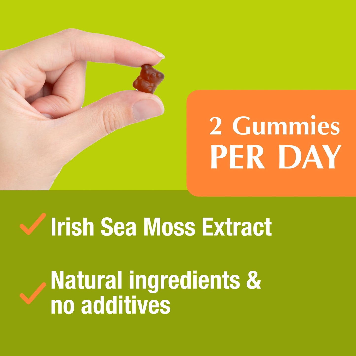 Jiva Botanicals - Irish Sea Moss Gummies with Bladderwrack & Burdock Root 3000mg Jiva BotanicalsUS supplements