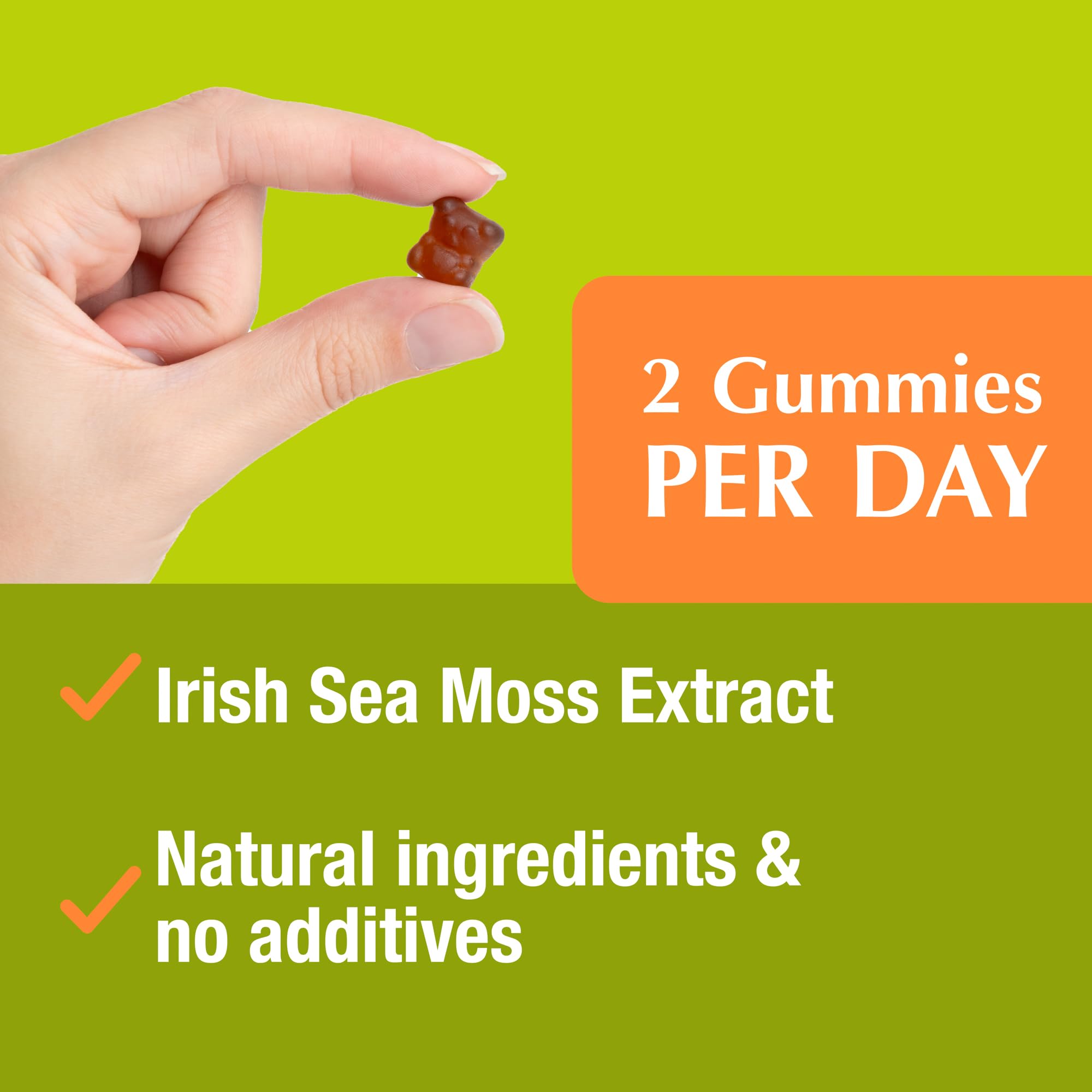 Jiva Botanicals - Irish Sea Moss Gummies with Bladderwrack & Burdock Root 3000mg Jiva BotanicalsAu supplements