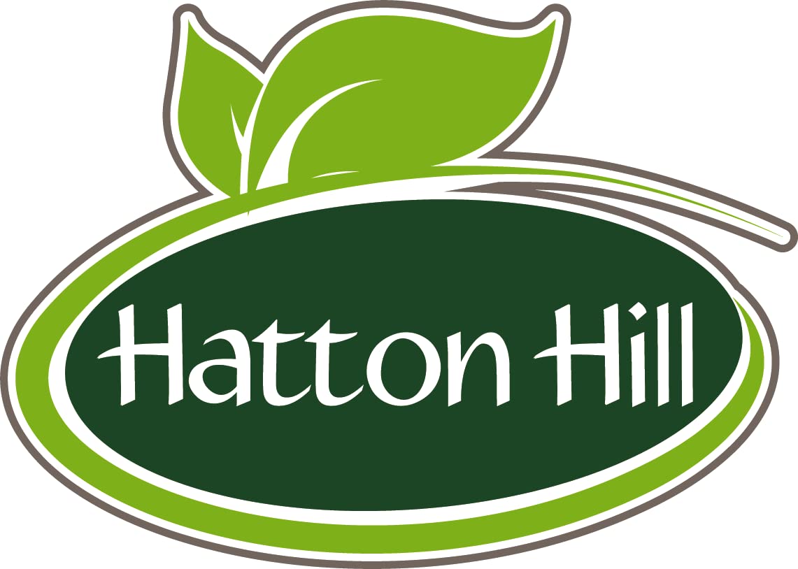 SOYA Protein Isolate (90% Protein) 250g by Hatton Hill, Unflavoured, Vegan Protein Shake Hatton HillAu supplements