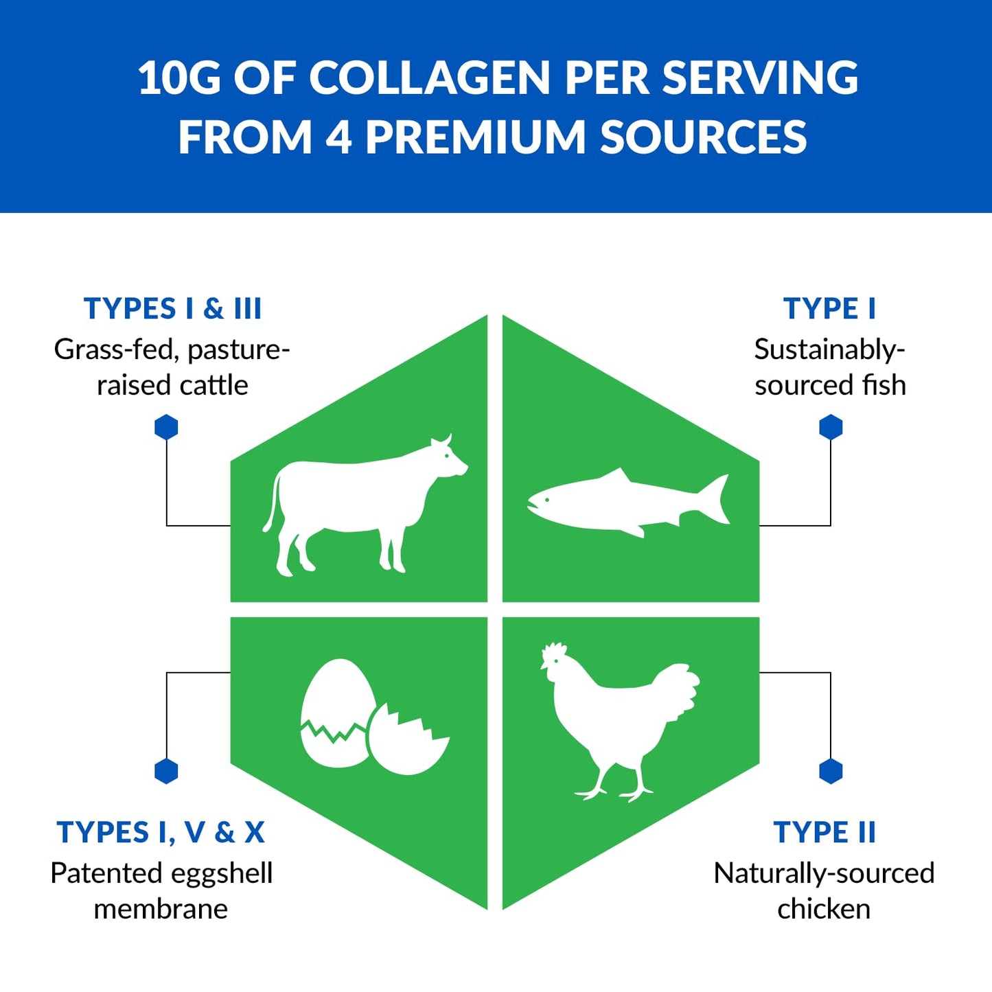 BioTrust Ageless Multi Collagen Peptides Powder – 5 Types (I, II, III, V, X) – Hydrolyzed BioTrustUS supplements