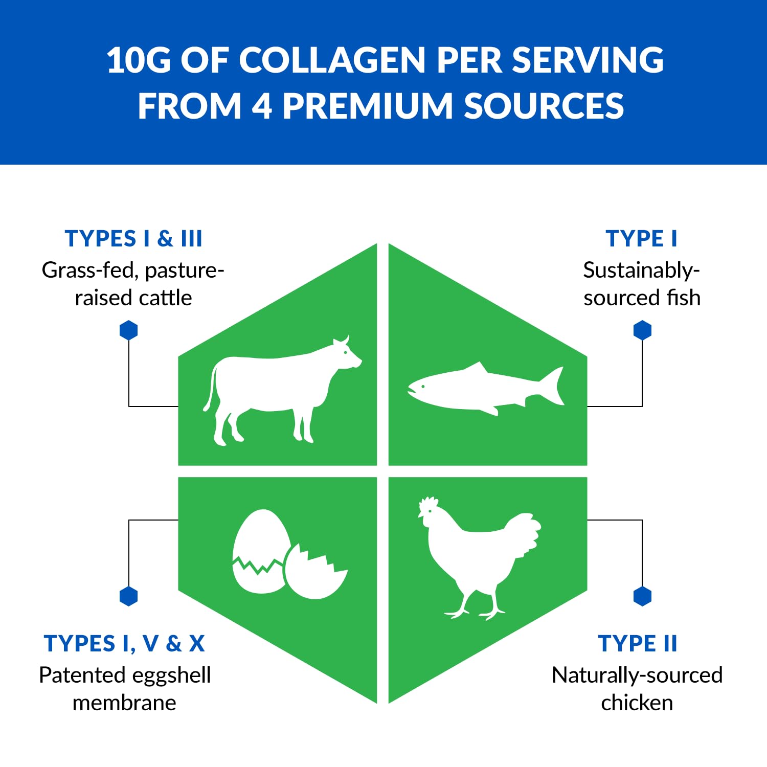 BioTrust Multi-Collagen Protein Powder + Keto MCT Oil – 5 Collagen Types Plus 100% BioTrustAu supplements