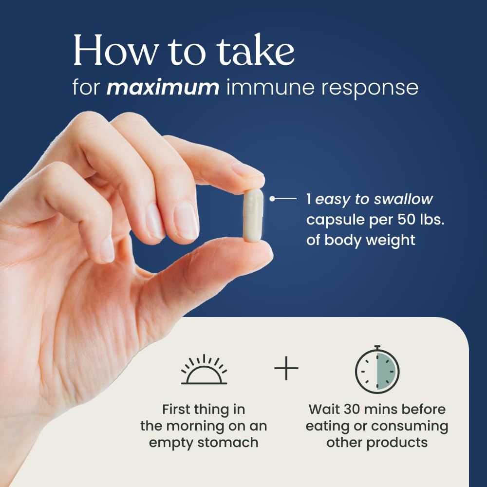 Better Way Health™ - Advanced Immune Readiness - Highly Purified 1,3/1,6 Beta Glucan 500 - Clinically Tested Immune Defense - 500mg/60 Capsules (Pack of 1) Better Way HealthAu supplements