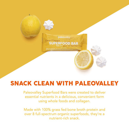 Paleovalley Superfood Bars – Lemon Meringue– 10 Pack – 9g Protein per Bar – Gluten-Free, Grain-Free, Paleo, Non-GMO – On-the-Go Snack PaleovalleyUS supplements