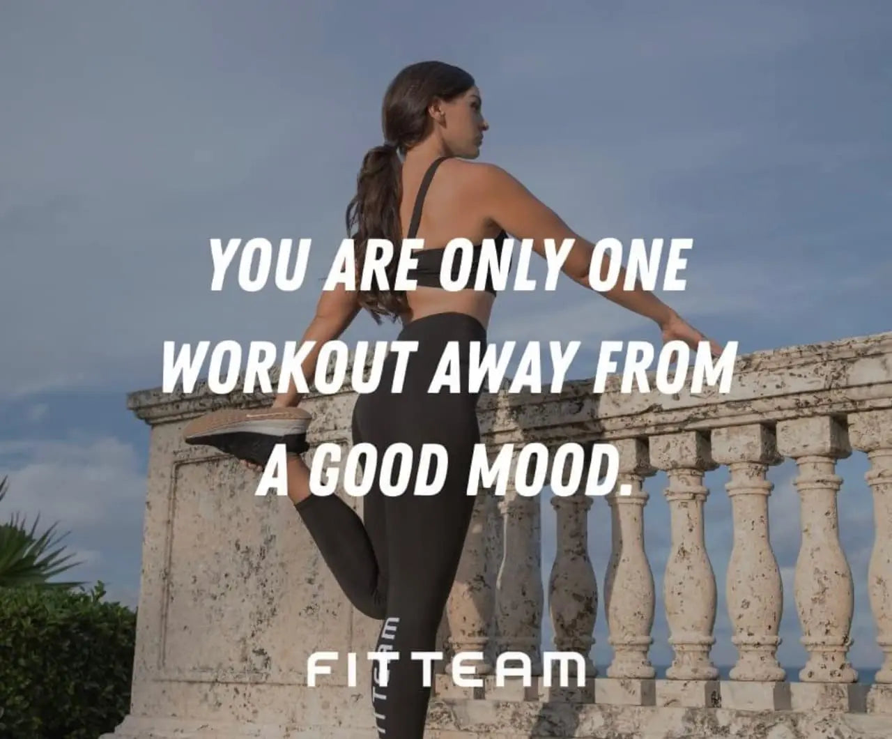 Fitteam Fit 30 Individual Sticks (30 Day Supply) New Improved Formula FitteamAu supplements
