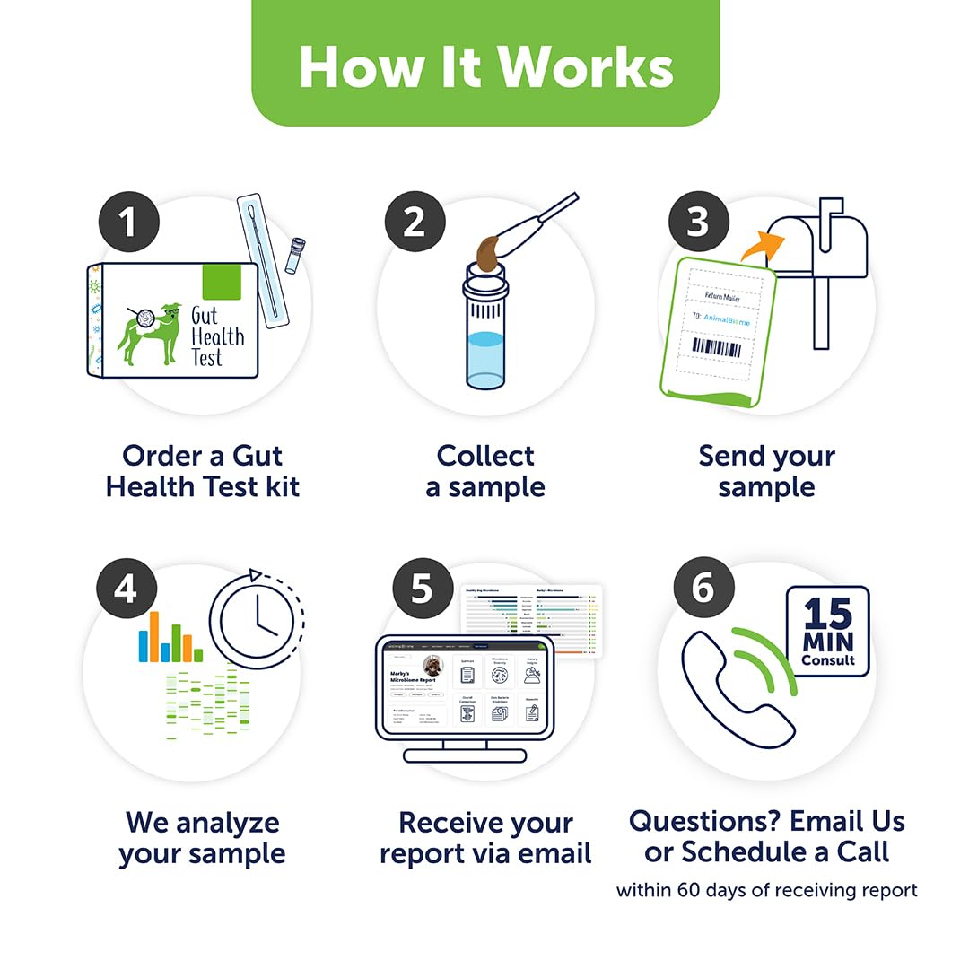 AnimalBiome Dog Gut Health Test – DoggyBiome At Home Stool Testing Kit, Canine Fecal Analysis for Digestive Issues, Diarrhea & Allergy Insights w/Personalized Report & Custom Plan (Dogs Outside US) AnimalBiomeAu supplements